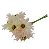 					
					Partijhandel - Partij - Bosje Aster roze/wit 25 cm 5 bloemen					
				